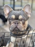 processed/23349d87-7713-481b-a4e1-7964184f49fa/facility/3e9898e9-01d0-4ea2-9048-a17a83282191