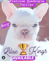 processed/23349d87-7713-481b-a4e1-7964184f49fa/facility/41a912f5-e60b-4984-a4ed-19c433ccb3dc