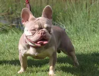 processed/23349d87-7713-481b-a4e1-7964184f49fa/facility/6e257587-b357-4bd2-874c-92a291065b91