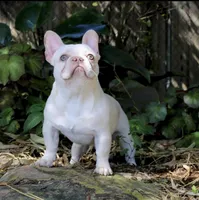 processed/23349d87-7713-481b-a4e1-7964184f49fa/facility/e5e25968-db14-483c-82a7-94bc8b03f652