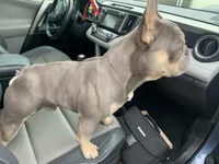 processed/23349d87-7713-481b-a4e1-7964184f49fa/facility/e802eb0b-4f11-4995-b8c8-5d91259e3c41