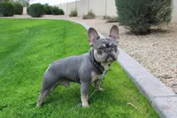 processed/23349d87-7713-481b-a4e1-7964184f49fa/facility/fc06139e-38b7-4f25-b7d2-86f53f31f5d3