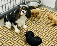 processed/2336a02f-9f42-4a36-a991-3d9046700e48/facility/2096f29e-b277-4eb7-b532-a92bdfb7ef3b