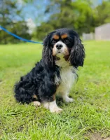 processed/2336a02f-9f42-4a36-a991-3d9046700e48/facility/32266713-bdd3-4e69-a62b-1109d0badfb2