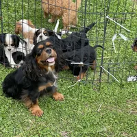 processed/2336a02f-9f42-4a36-a991-3d9046700e48/facility/4bf70a5f-1c31-425b-ac2f-60d3723dead5