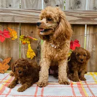 processed/2336a02f-9f42-4a36-a991-3d9046700e48/facility/8250363f-cfbc-488f-b336-761c24fc277a