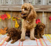 processed/2336a02f-9f42-4a36-a991-3d9046700e48/facility/8250363f-cfbc-488f-b336-761c24fc277a