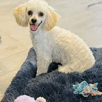 processed/2336a02f-9f42-4a36-a991-3d9046700e48/facility/a00d9169-00aa-4233-bee9-afef5cc05329