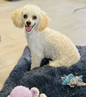 processed/2336a02f-9f42-4a36-a991-3d9046700e48/facility/a00d9169-00aa-4233-bee9-afef5cc05329