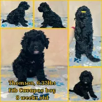 processed/2336a02f-9f42-4a36-a991-3d9046700e48/listing/21c4b559-6b57-41bc-b356-f209262931f0/5a5989f8-6d9f-43a5-b341-8f411f6683d2