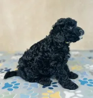 processed/2336a02f-9f42-4a36-a991-3d9046700e48/listing/21c4b559-6b57-41bc-b356-f209262931f0/b4e30a20-4aa1-491f-9bee-8ca8add056e9