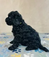 processed/2336a02f-9f42-4a36-a991-3d9046700e48/listing/21c4b559-6b57-41bc-b356-f209262931f0/c6d63b53-553a-465a-ad95-e41141b038d2