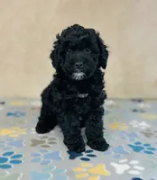 processed/2336a02f-9f42-4a36-a991-3d9046700e48/listing/21c4b559-6b57-41bc-b356-f209262931f0/d174a0b3-f725-4ffd-95e5-66140e71bbbb