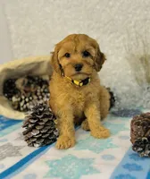 processed/2336a02f-9f42-4a36-a991-3d9046700e48/listing/38d5ad5d-74ba-40bc-9bc2-55fff3aa588f/5f8a7a6c-42a9-446b-bf0b-a1f03dfca197