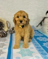 processed/2336a02f-9f42-4a36-a991-3d9046700e48/listing/38d5ad5d-74ba-40bc-9bc2-55fff3aa588f/b8976ab3-3bb2-4e6a-b98f-9a6128bf06e6