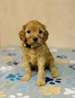 processed/2336a02f-9f42-4a36-a991-3d9046700e48/listing/38d5ad5d-74ba-40bc-9bc2-55fff3aa588f/e662e2e6-a368-4d00-b7be-d1ef7ab01d98