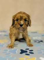 processed/2336a02f-9f42-4a36-a991-3d9046700e48/listing/4dd405d0-2298-44d3-a09b-4273ccb5d744/07c34b5e-805f-4de1-910c-1b36d2eb9ba4