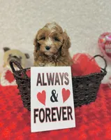 processed/2336a02f-9f42-4a36-a991-3d9046700e48/listing/9a8de4f9-27ef-4716-81ff-0965cd79a22f/09ccf4bc-9934-42a9-8ca0-3190c4bca281