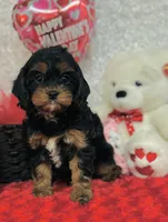 processed/2336a02f-9f42-4a36-a991-3d9046700e48/listing/d6560ac1-e7e4-43ed-8eb7-fcbfd78a845b/a132b472-c2ff-493c-927d-077fb88961e1