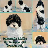 processed/2336a02f-9f42-4a36-a991-3d9046700e48/listing/dd549eb5-abfb-4a03-aa12-e44d3fe1e4cc/072cf090-cc49-47f8-bc7d-a345a1179516