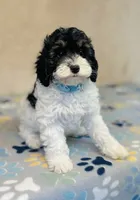 processed/2336a02f-9f42-4a36-a991-3d9046700e48/listing/dd549eb5-abfb-4a03-aa12-e44d3fe1e4cc/52cceeda-81e6-48a6-a0bb-11ed472182e1