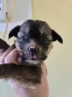 processed/23484ace-0272-4975-b16e-7b839be16bd2/listing/0ba650dc-c4d5-4cc0-bcf6-fbd649b70381/241fba36-60c1-4477-aeba-41e916904fcc