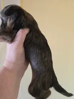 processed/23484ace-0272-4975-b16e-7b839be16bd2/listing/0ba650dc-c4d5-4cc0-bcf6-fbd649b70381/a9152efe-4275-4822-9172-a51462ec2c8f