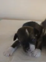 processed/23484ace-0272-4975-b16e-7b839be16bd2/listing/8b4db18c-b6f6-4c9b-a2bb-cfed434de984/75a29b77-e8fd-46eb-a75a-190e6d2e2578