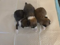 processed/23484ace-0272-4975-b16e-7b839be16bd2/listing/ed2cd3d0-913f-4ef5-b7fd-d3452acf323a/10ae8435-2c5b-4498-ab9c-eb5f143e06e7