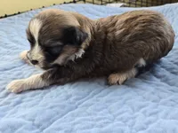 processed/23484ace-0272-4975-b16e-7b839be16bd2/listing/f14340ef-701d-450e-afb3-e21e6d35057f/6ad124b8-000e-48b8-b9fb-29d72c7db3c1