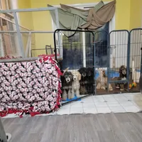 processed/234d2450-fad6-4cb2-a3fb-0ba86ecb68ea/facility/35a2b8b6-86a7-4b54-88fa-412615dcf898