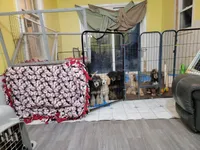 processed/234d2450-fad6-4cb2-a3fb-0ba86ecb68ea/facility/35a2b8b6-86a7-4b54-88fa-412615dcf898