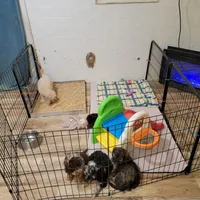 processed/234d2450-fad6-4cb2-a3fb-0ba86ecb68ea/facility/545b4c44-31a1-4bff-9fb1-01719dc5ca24