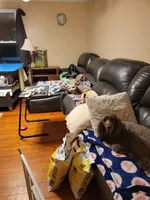 processed/234d2450-fad6-4cb2-a3fb-0ba86ecb68ea/facility/5913e594-c7aa-4c70-ac25-297e8fd87cb9