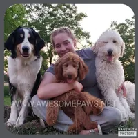 processed/234d2450-fad6-4cb2-a3fb-0ba86ecb68ea/facility/90958f70-50d2-44cc-b1d1-9dbb47e3dcc9