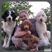 processed/234d2450-fad6-4cb2-a3fb-0ba86ecb68ea/facility/90958f70-50d2-44cc-b1d1-9dbb47e3dcc9