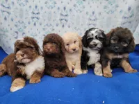 processed/234d2450-fad6-4cb2-a3fb-0ba86ecb68ea/listing/0d71f4ad-58ba-4787-b57c-f3211eb43815/05a3de06-3e52-41e9-aa89-15b3f7cfefdc