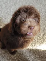 processed/234d2450-fad6-4cb2-a3fb-0ba86ecb68ea/listing/0d71f4ad-58ba-4787-b57c-f3211eb43815/1f880f5b-ff90-4f87-beba-7ce3cc905e9d