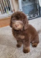 processed/234d2450-fad6-4cb2-a3fb-0ba86ecb68ea/listing/0d71f4ad-58ba-4787-b57c-f3211eb43815/367ca75c-793c-476f-8cf4-c1d59328a3fd