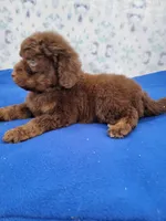 processed/234d2450-fad6-4cb2-a3fb-0ba86ecb68ea/listing/0d71f4ad-58ba-4787-b57c-f3211eb43815/494a0650-0757-4b96-97e9-e3c7cfa98dd1