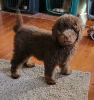 processed/234d2450-fad6-4cb2-a3fb-0ba86ecb68ea/listing/0d71f4ad-58ba-4787-b57c-f3211eb43815/b54c7c1b-fd52-4787-96ba-f6a1ee0f030d