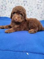 processed/234d2450-fad6-4cb2-a3fb-0ba86ecb68ea/listing/0d71f4ad-58ba-4787-b57c-f3211eb43815/c2aef418-0826-4e72-8fa0-ebd533e7af25