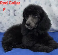 processed/234d2450-fad6-4cb2-a3fb-0ba86ecb68ea/listing/22c1faad-5aa6-425e-a73a-b723eb93dc5b/29f52875-d82d-4747-a02a-208c1a56cb91