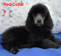 processed/234d2450-fad6-4cb2-a3fb-0ba86ecb68ea/listing/22c1faad-5aa6-425e-a73a-b723eb93dc5b/675d5fcd-a54d-4b67-9f2e-a02713d621ce