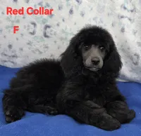 processed/234d2450-fad6-4cb2-a3fb-0ba86ecb68ea/listing/22c1faad-5aa6-425e-a73a-b723eb93dc5b/d2bfaaf1-bef1-4f18-a51a-052f00c83f3a