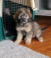 processed/234d2450-fad6-4cb2-a3fb-0ba86ecb68ea/listing/2ddc3ba7-b72b-450c-97a4-df8a7d2d7afd/37570708-5a44-4f09-9659-f39476e9e1fa