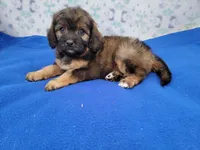 processed/234d2450-fad6-4cb2-a3fb-0ba86ecb68ea/listing/2ddc3ba7-b72b-450c-97a4-df8a7d2d7afd/38530c74-7ad6-46a3-814f-caf17a4454ab