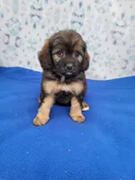 processed/234d2450-fad6-4cb2-a3fb-0ba86ecb68ea/listing/2ddc3ba7-b72b-450c-97a4-df8a7d2d7afd/46cea84a-0c92-4559-bcb5-a4a519f116de