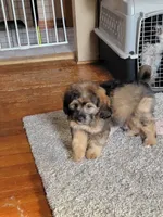 processed/234d2450-fad6-4cb2-a3fb-0ba86ecb68ea/listing/2ddc3ba7-b72b-450c-97a4-df8a7d2d7afd/8b52c4e7-5d87-48e2-adda-002eebe6082e