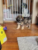 processed/234d2450-fad6-4cb2-a3fb-0ba86ecb68ea/listing/2ddc3ba7-b72b-450c-97a4-df8a7d2d7afd/9b4ba45b-3d96-4fcd-ae1f-e05272ecc74f